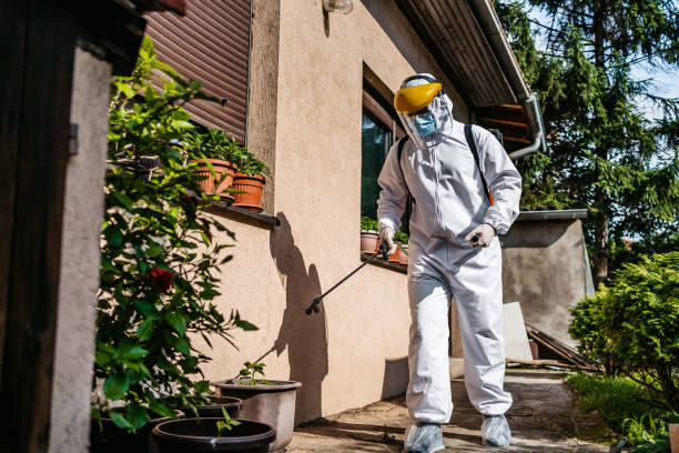 Best Flea Control Services  in Indian Springs, GA