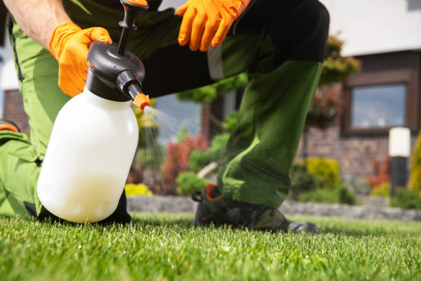 Wildlife Control Services in Indian Springs, GA