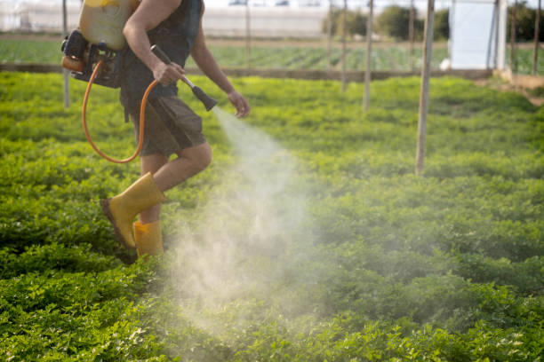 Best Commercial Pest Control Services  in Indian Springs, GA