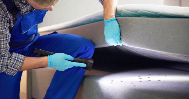 Reliable Indian Springs, GA Pest Control Solutions