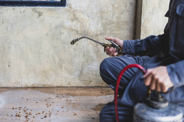 Best Mosquito Control Services  in Indian Springs, GA